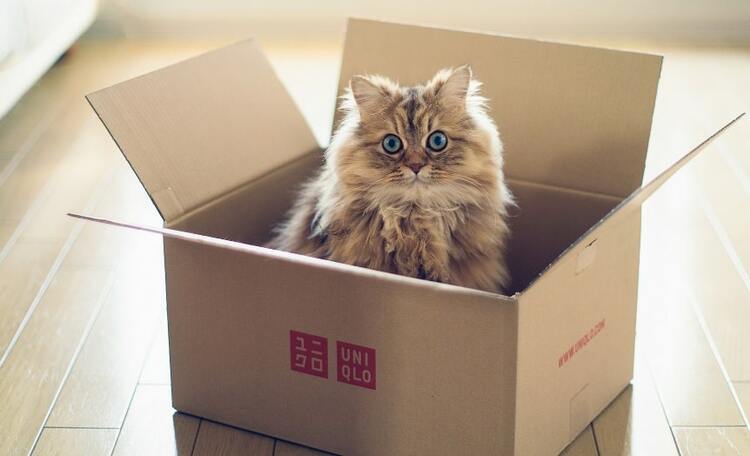 что не забыть при переезде в другой город