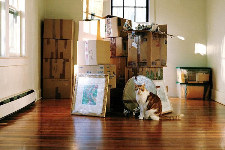 переезд перевозка бытовой техники