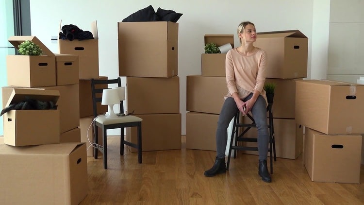 перевезти бытовую технику